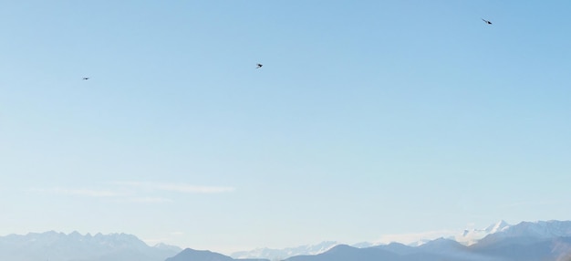 Birds flying above mountain range with copy space