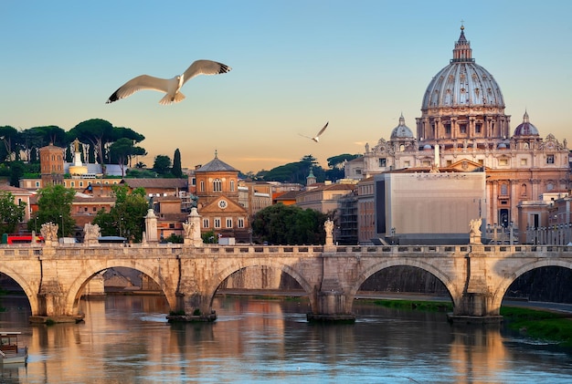 Birds flying over Tiber river near Vatican and bridge of Vittorio Emanuele II, Italy