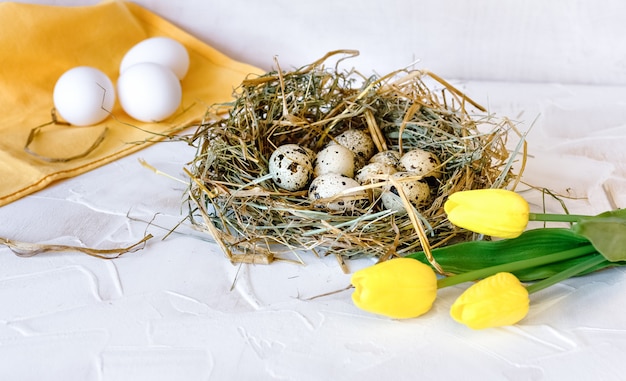 Birds nest with quail eggs. Chicken eggs lie on a yellow napkin nearby. 