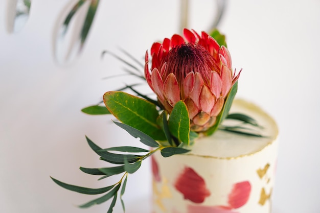 Birthday cake close up the cake is decorated with protea flowers