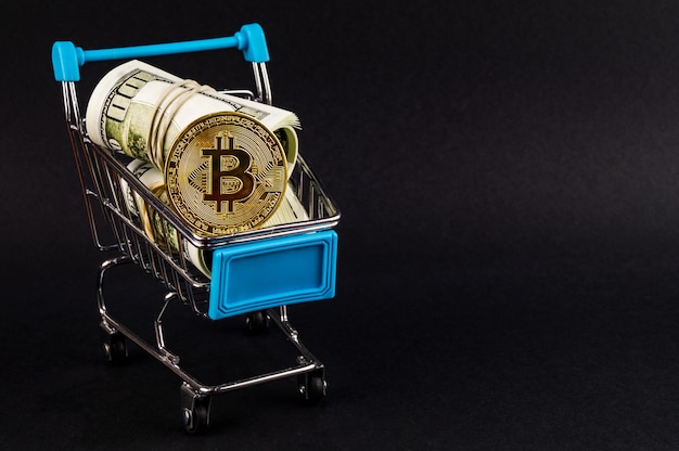 Bitcoin BTC cryptocurrency means of payment in the financial sector