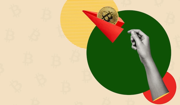 Bitcoin coins in the plane Investment growth Digital money and stock business Art collage