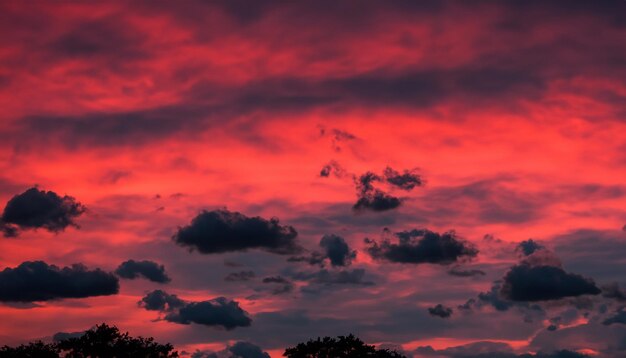 Black abstract fmars on a red hellish sky