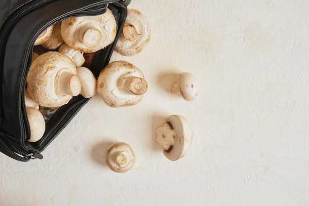 Black bag with champignons on a beige background, vegan leather concept, alternative to animal skin, leather from mushroom mycelium