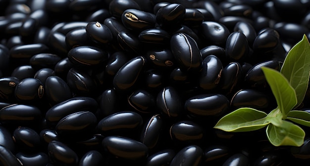 black beans on a black slate table