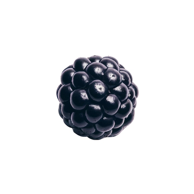 Photo a black berry with a white background and a white background