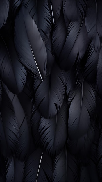 Black Bird Feathers Abstract Image Texture Pattern Background Wallpaper Smartphone Cover and Sc