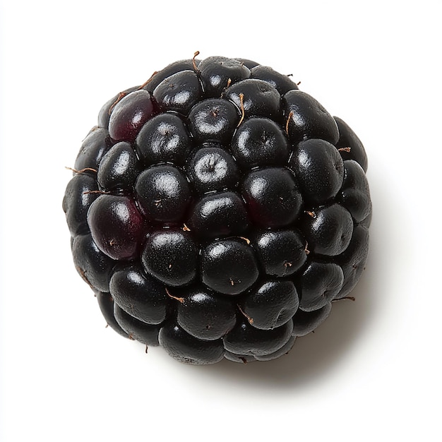 a black blackberry with a black berry on the top