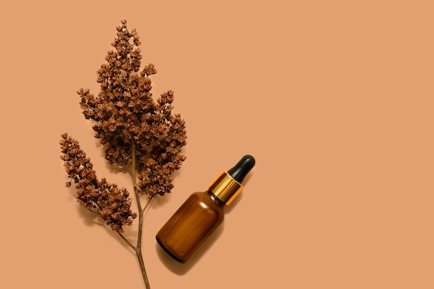 Black bottle of cosmetic lotion with dried flowers With place for text