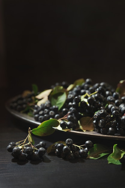 Black chokeberry berries on metallic dish on dark table.