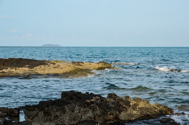 Black coral with blue sea