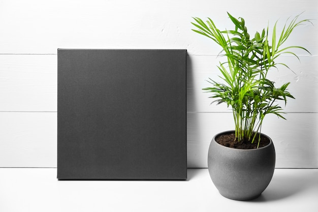 A black cotton canvas and green plant in flower pot on white wooden background