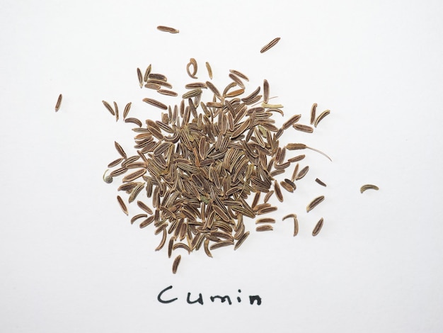 Photo black cumin (bunium bulbocastanum) seeds