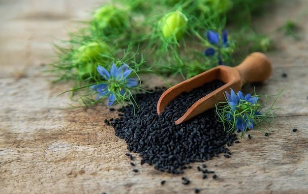 Black cumin seeds and flowers. Selective focus.