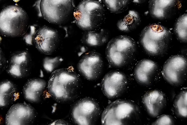 Black currant berries food background