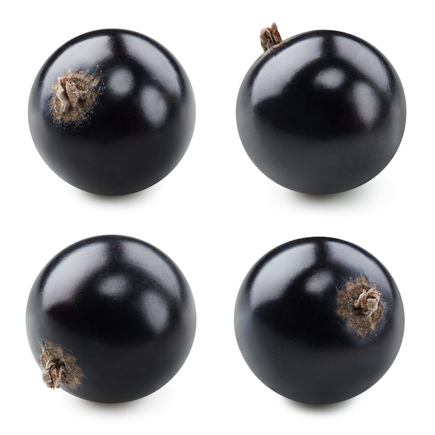 Black currant on white Black currant isolated clipping path