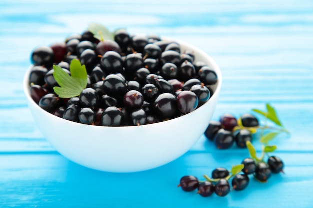 Black currant in a white bowl on blue wooden background