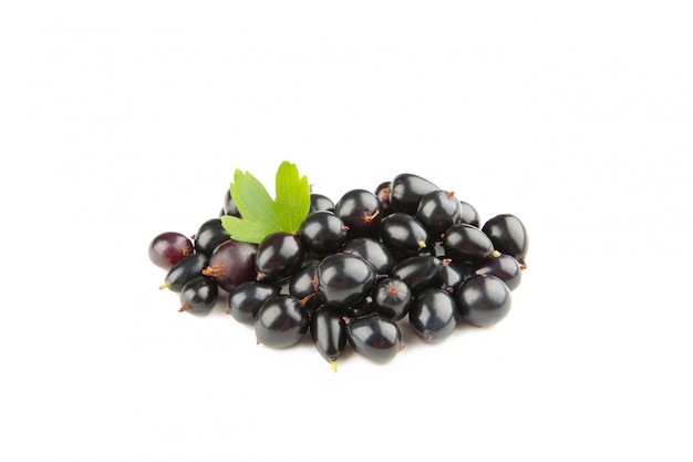 Black currant with green leaf isolated on white background