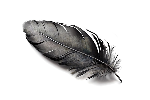 Black Feather Isolated Swan Plume Dark Gray Bird Feathers Abstract Generative AI Illustration