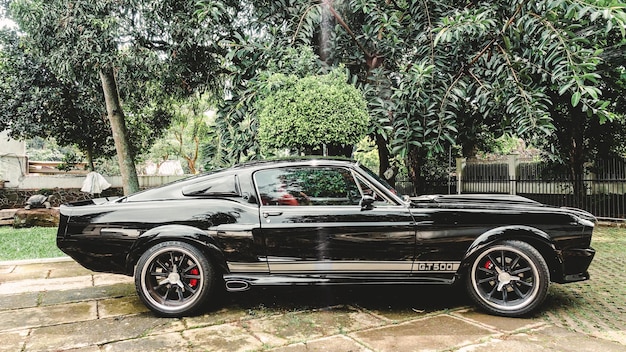 Black Ford Mustang Shelby GT500 year 1967 details exterior