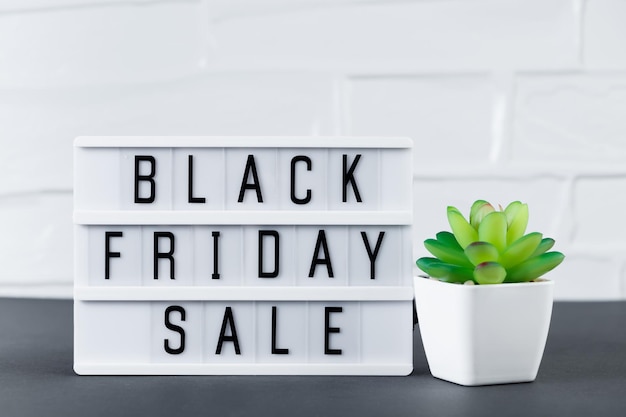 Black Friday sale Lightbox with text and green plant on white background