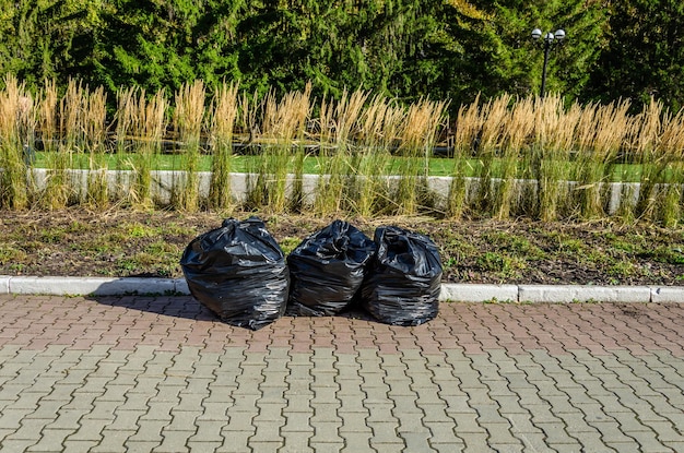 Black garbage bags at the cleaning in the park.
