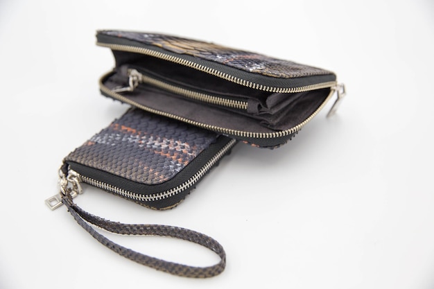 Black golden snakeskin wallet purse isolated on a white background