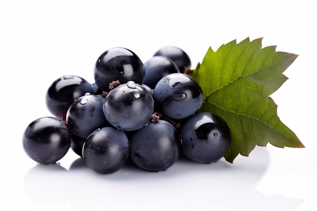 Black grapes with a leaf on a white background