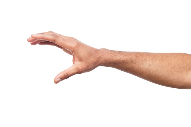 Black hand holding credit card or other isolated on white background. African-american man grab something, copy space, void