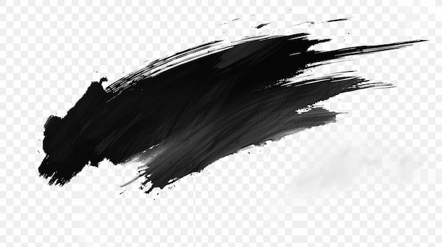 black ink on a transparent background