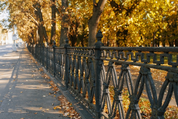 Black iron fence of the city Park, autumn trees and leaves on the asphalt