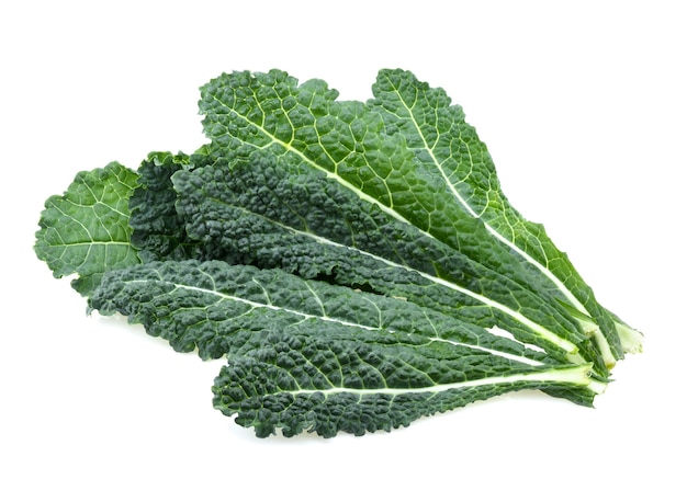 Black kale, italian kale, tuscan kale, lacinato, dinosaur on white