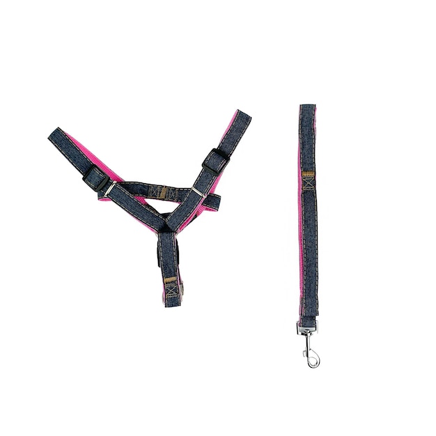 black leash and collar for walking