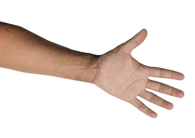 Black Male Hands Isolated on White