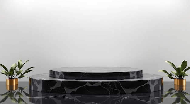 Black marble podium with white background and plants