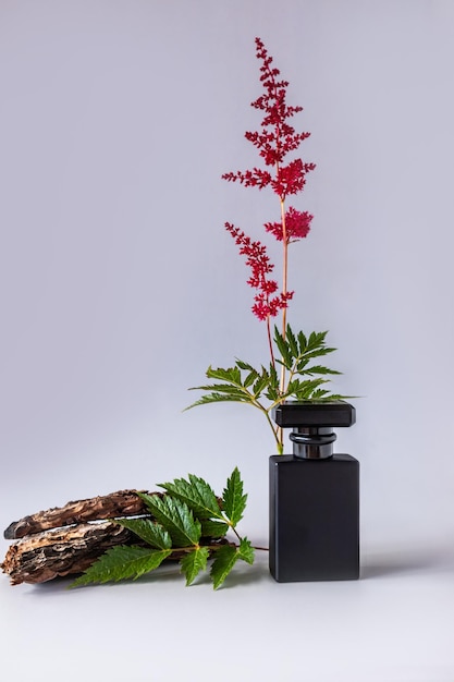 A black matte bottle of men's perfume against the background of a branch of pink astilbe and the bark of a tree front view the natural fragrance