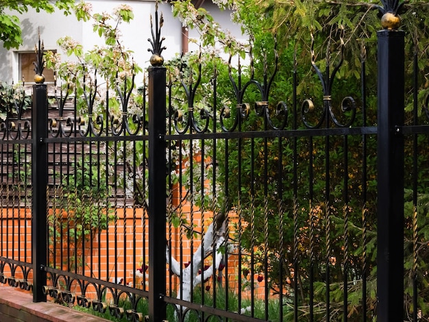 black metal fence with gate