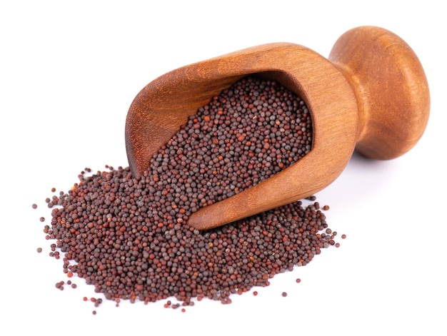 Black mustard seeds in wooden scoop and spoon isolated on white background