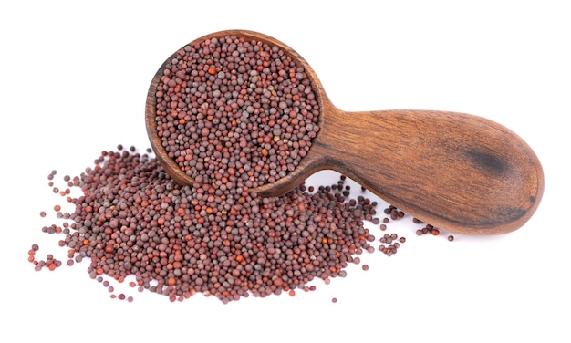 Black mustard seeds in wooden spoon isolated on white background