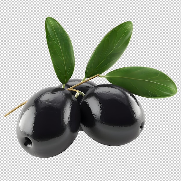 Black olives on transparent background