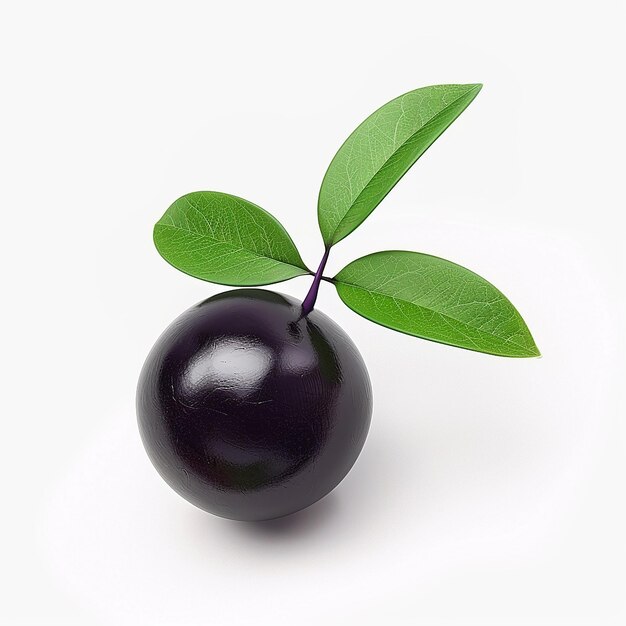 a black plum with a green leaf on it is on a white background