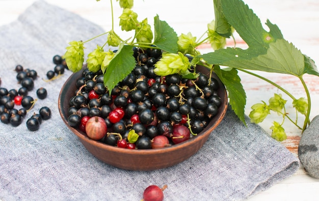 Black and red currants in a plate in nature Harvesting in the village