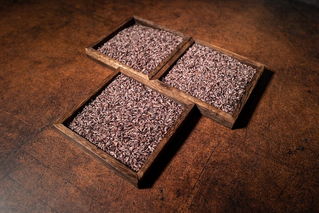 Black rice on square plates in dark light