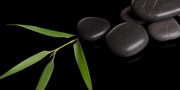 A black rock and a green leaf are on a black background.