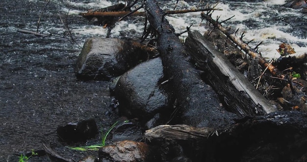 A black rock in a river with a log on it