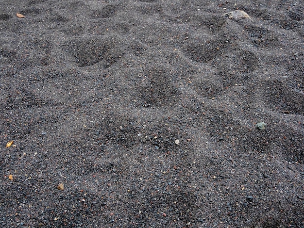 Black sand on the beach Black Sand beach macro photography Shadows play in this evening