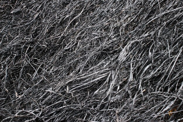 Black scorched grass texture and background