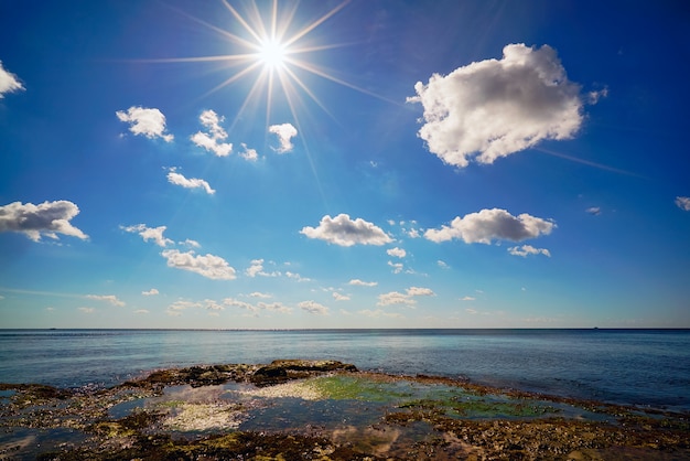 Photo black sea landscape on a bright sunny day . tarkhankut, crimea,