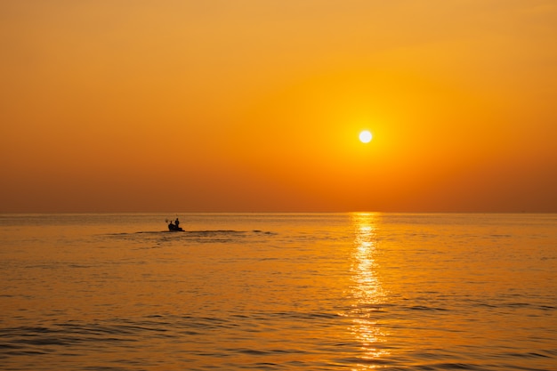 Black silhouette, beautiful sunset