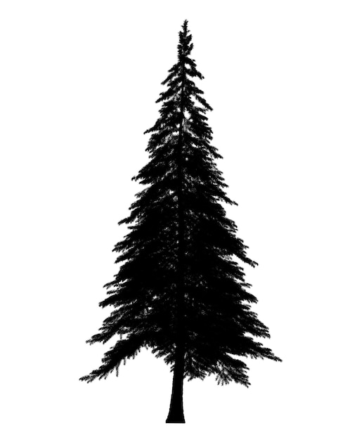 Black silhouette of Pine Christmas tree icon isolated on white background